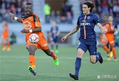 包含法国杯倒计时，深圳男篮今晨临场应变，细节引发关注，目标明确，训练强度明显提升的词条球速体育